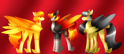 Size: 5368x2366 | Tagged: safe, artist:clay-bae, character:daring do, character:spitfire, oc, oc:bonfire, parent:daring do, parent:spitfire, parents:daringfire, species:pegasus, species:pony, ship:daringfire, feathered fetlocks, magical lesbian spawn, offspring, shipping, tail feathers, two toned wings, wings