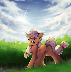 Size: 2484x2507 | Tagged: safe, artist:hitbass, character:applejack, species:earth pony, species:pony, applebutt, butt, collaboration, cute, featureless crotch, female, jackabetes, lidded eyes, looking at you, looking back, looking back at you, mare, one eye closed, plot, scenery, solo, wink