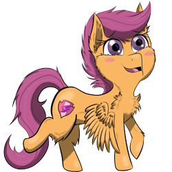 Size: 2000x2000 | Tagged: safe, artist:shinycyan, character:scootaloo, species:pegasus, species:pony, blushing, chest fluff, cutie mark, digital art, female, filly, orange pony, png, simple background, solidarity map, solo, the cmc's cutie marks, transparent background