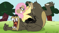 Size: 800x450 | Tagged: safe, artist:mirabuncupcakes15, character:fluttershy, character:harry, species:human, episode:lesson zero, g4, my little pony: friendship is magic, bear, boots, clothing, dark skin, eyes closed, female, grass, humanized, jeans, male, pants, scene interpretation, shoes, sky, sports, sweater, sweatershy, tree, winged humanization, wings, wrestling