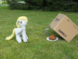 Size: 700x525 | Tagged: safe, artist:eratosofcyrene, character:derpy hooves, species:pegasus, species:pony, box, cardboard box, female, food, mare, muffin, photo, plushie, solo, toy, trap