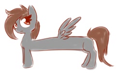 Size: 1523x923 | Tagged: safe, artist:nevaylin, oc, oc only, oc:nevaylin, species:pegasus, species:pony, female, long pony, mare, pegasus oc, simple background, solo, white background, wings
