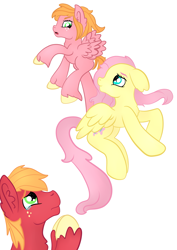 Size: 2059x2912 | Tagged: safe, artist:bewarethemusicman, character:big mcintosh, character:fluttershy, oc, oc:little darlin', parent:big macintosh, parent:fluttershy, parents:fluttermac, species:pony, ship:fluttermac, crying, family, female, flying, flying lesson, liquid pride, male, offspring, shipping, simple background, straight, teary eyes, white background