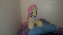 Size: 2560x1440 | Tagged: safe, artist:ponylover88, character:fluttershy, butterscotch, plushie, pony mask, rule 63