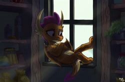 Size: 3036x2000 | Tagged: safe, artist:amy-gamy, character:smolder, species:crab, species:dragon, episode:molt down, g4, my little pony: friendship is magic, crepuscular rays, crossed arms, dragoness, female, high res, scene interpretation, shelf, sitting, solo, window, wing claws