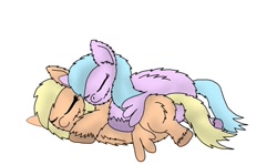 Size: 1024x610 | Tagged: safe, artist:inkiepie, cuddling, fluffy pony, fluffy pony original art, sleeping