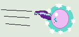 Size: 158x74 | Tagged: safe, artist:jadethepegasus, character:starlight glimmer, species:pony, species:unicorn, g4, ball, crossover, female, glimmerball, levitation, magic, mare, motion lines, picture for breezies, pixel art, rolling, self-levitation, simple background, solo, sonic the hedgehog (series), spin dash, telekinesis