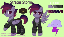 Size: 1370x800 | Tagged: safe, artist:thanhvy15599, oc, species:pegasus, species:pony, g4, commission, cutie mark, male, pegasus oc, reference sheet, simple background, solo, wings