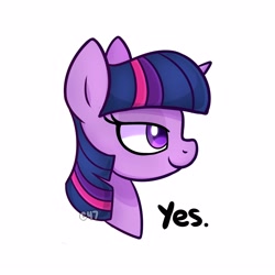 Size: 4000x4000 | Tagged: safe, artist:handgunboi, character:twilight sparkle, character:twilight sparkle (unicorn), species:pony, species:unicorn, g4, bust, chad, chadlight sparkle, female, mare, meme, nordic gamer, ponified meme, simple background, solo, watermark, white background, yes