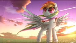 Size: 1920x1080 | Tagged: safe, artist:phoenixrk49, character:rainbow dash, species:pegasus, species:pony, g4, chest fluff, cloud, feather, grass, sky, sunset, wallpaper, wings