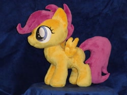 Size: 640x480 | Tagged: safe, artist:whitedove-creations, character:scootaloo, species:pegasus, species:pony, irl, photo, plushie, solo