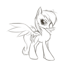Size: 469x442 | Tagged: safe, artist:fajeh, character:rainbow dash, species:pegasus, species:pony, black and white, female, grayscale, mare, monochrome, simple background, sketch, solo, spread wings, white background, wings