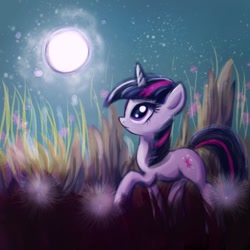 Size: 600x600 | Tagged: safe, artist:fajeh, character:twilight sparkle, character:twilight sparkle (unicorn), species:pony, species:unicorn, female, high grass, moon, solo