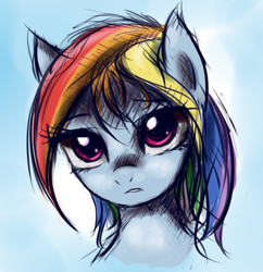 Size: 490x506 | Tagged: source needed, safe, artist:fajeh, character:rainbow dash, bust, female, looking at you, portrait, solo