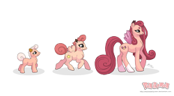 Size: 3737x2065 | Tagged: safe, artist:almairis, species:pony, clefable, clefairy, cleffa, crossover, evolution chart, female, filly, foal, mare, mother and daughter, pokémon, ponified, ponymon, simple background, socks (coat marking), transparent background