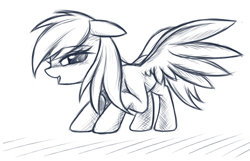 Size: 600x386 | Tagged: source needed, safe, artist:fajeh, character:rainbow dash, blushing, female, lineart, monochrome, presenting, solo