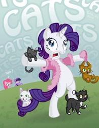 Size: 480x615 | Tagged: safe, artist:don-ko, character:pinkie pie, character:rarity, character:twilight sparkle, species:pony, bipedal, cat, crazy cat lady, insanity, it happened