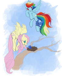 Size: 530x650 | Tagged: safe, artist:noel, character:fluttershy, character:rainbow dash, species:bird, species:pegasus, species:pony, g4, female, flying, mare, nest