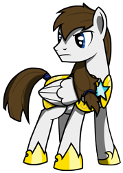 Size: 1880x2626 | Tagged: safe, artist:bigshot232, oc, oc only, oc:blue skies, species:pegasus, species:pony, guard, male, solo, stallion, standing