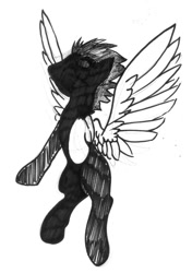 Size: 750x1065 | Tagged: safe, artist:php64, oc, oc only, species:pegasus, species:pony, monochrome, silhouette, solo, traditional art