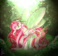 Size: 2100x2000 | Tagged: safe, artist:saoiirse, character:roseluck, fae, faerie, female, forest, rose, solo
