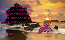 Size: 1680x1050 | Tagged: safe, artist:digitalpheonix, artist:lahirien, character:pinkie pie, basket, beach, dr. seuss, irl, letter, photo, ponies in real life, quote, shadow, solo, sunset, vector