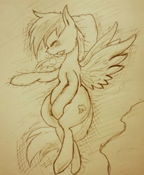 Size: 554x672 | Tagged: safe, artist:doubt, character:rainbow dash, female, grayscale, monochrome, solo