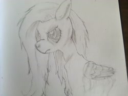Size: 3264x2448 | Tagged: safe, artist:rainb0wdashie, character:fluttershy, anorexic, ask-anorexic-fluttershy, female, sketch, solo