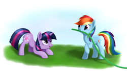 Size: 3600x2025 | Tagged: safe, artist:galekz, character:rainbow dash, character:twilight sparkle, character:twilight sparkle (unicorn), species:pegasus, species:pony, species:unicorn, ship:twidash, face down ass up, female, hose, looking at each other, mare, shipping, smiling