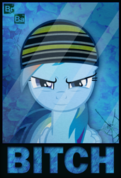 Size: 989x1442 | Tagged: safe, artist:flare-chaser, character:rainbow dash, species:pony, bitch, breaking bad, crystal meth, female, jesse pinkman, meth, solo