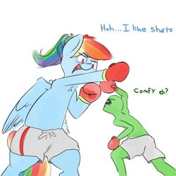 Size: 800x800 | Tagged: safe, artist:askcanadash, character:rainbow dash, oc, oc:anon, species:human, species:pony, alternate hairstyle, bipedal, black eye, boxing, boxing gloves, clothing, giant pony, macro, open mouth, ponytail, random, shorts, size difference