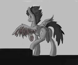 Size: 3000x2500 | Tagged: safe, artist:php64, oc, oc only, species:pegasus, species:pony, :t, annoyed, blushing, butt tie, knot, looking back, monochrome, necktie, plot, raised hoof, raised leg, solo, spread wings, strategically covered, underhoof, wings