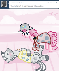 Size: 500x600 | Tagged: safe, artist:alipes, character:pinkie pie, oc, oc:fetchbeer, species:zebra, ask, ask pinkie pierate, bottle, clothing, hat, pirate, tumblr
