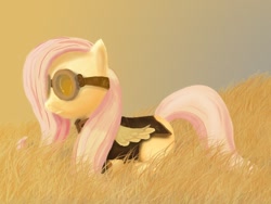 Size: 800x600 | Tagged: safe, artist:subjectnumber2394, character:fluttershy, species:pegasus, species:pony, g4, clothing, female, field, flight vest, goggles, profile, solo, vest