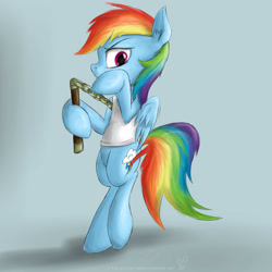Size: 2500x2500 | Tagged: safe, artist:rule1of1coldfire, character:rainbow dash, species:pegasus, species:pony, bipedal, clothing, female, high res, mare, nunchucks, shirt, signature, simple background, solo, tank top