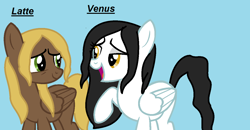 Size: 1287x669 | Tagged: safe, artist:t-mack56, character:compass star, character:starry eyes, background pony, rule 63, venus (rule 63 mercury)