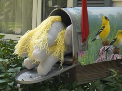 Size: 500x375 | Tagged: safe, artist:eratosofcyrene, character:derpy hooves, species:pegasus, species:pony, derpy inside a mailbox, female, irl, mailbox, mare, photo, plushie, solo