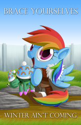 Size: 1500x2318 | Tagged: safe, artist:berrypawnch, character:rainbow dash, character:tank, episode:tanks for the memories, g4, my little pony: friendship is magic, chibi, cute, dashabetes, winter is coming, winter isn't coming