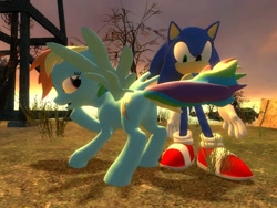 Size: 1024x768 | Tagged: safe, artist:migueruchan, artist:niban-destikim, character:rainbow dash, character:sonic the hedgehog, species:pony, 3d, crossover, gmod, scene interpretation, sonic the hedgehog (series), tail seduce