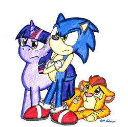 Size: 1555x1545 | Tagged: safe, artist:silversimba01, character:sonic the hedgehog, character:twilight sparkle, big cat, crossover, cub, kion, lion, sonic the hedgehog (series), the lion guard, the lion king, traditional art