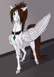Size: 900x1276 | Tagged: safe, artist:sunny way, rcf community, oc, oc only, oc:sunny way, species:pegasus, species:pony, collar, digital, emerald, eye clipping through hair, eyebrows, eyebrows visible through hair, feather, female, general, green, hoers, horse, line, long tail, solo, wings