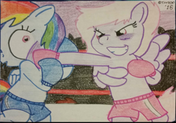 Size: 1080x757 | Tagged: safe, artist:toyminator900, character:rainbow dash, oc, oc:chip, oc:melody notes, boxing, boxing gloves, bruised