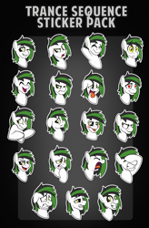 Size: 1285x1963 | Tagged: safe, artist:drawponies, oc, oc only, oc:trance sequence, expressions