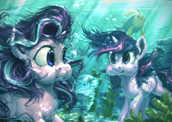 Size: 1920x1360 | Tagged: safe, artist:assasinmonkey, character:starlight glimmer, character:twilight sparkle, character:twilight sparkle (alicorn), species:alicorn, species:pony, episode:every little thing she does, g4, my little pony: friendship is magic, :t, crepuscular rays, cute, duo, duo female, female, fish, holding breath, jellyfish, puffy cheeks, scene interpretation, smiling, teacher and student, underwater, water, wet mane