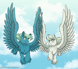 Size: 1024x911 | Tagged: safe, artist:inuhoshi-to-darkpen, character:sky stinger, character:vapor trail, species:pegasus, species:pony, episode:top bolt, g4, my little pony: friendship is magic, chest fluff, cloud, duo, ear fluff, eyebrows, eyebrows visible through hair, feathered fetlocks, female, fluffy, flying, male, mare, sky, spread wings, stallion, three quarter view, unshorn fetlocks, wings