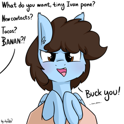 Size: 1920x1920 | Tagged: safe, artist:dsp2003, part of a set, oc, oc only, oc:pony-ivan, species:human, species:pegasus, species:pony, holding a pony, i can't believe it's not tjpones, male, offscreen character, part of a series, style emulation, vulgar, what do you want