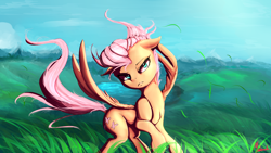 Size: 1920x1080 | Tagged: safe, artist:miokomata, character:fluttershy, species:pegasus, species:pony, fangs, female, floppy ears, flutterfang, frown, grass field, mare, meadow, scenery, signature, solo, wind, windswept hair, windswept mane, windy