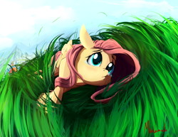 Size: 1400x1080 | Tagged: safe, artist:miokomata, character:fluttershy, character:rainbow dash, species:pegasus, species:pony, crying, cute, female, folded wings, grass, grass field, imminent snuggles, looking up, lying down, mare, on side, sad, sadorable, sky, solo focus, teary eyes, unaware, when you see it