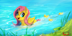 Size: 1400x700 | Tagged: safe, artist:miokomata, character:fluttershy, species:pegasus, species:pony, behaving like a bird, behaving like a duck, cute, cute little fangs, duck pony, duckling, fangs, female, grass, mare, open mouth, shyabetes, signature, smiling, swimming, water