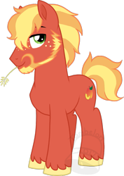 Size: 637x900 | Tagged: safe, artist:tambelon, oc, oc only, oc:peach fuzz, parent:big macintosh, parent:sugar belle, parents:sugarmac, species:earth pony, species:pony, beard, facial hair, male, offspring, simple background, solo, stallion, transparent background, watermark